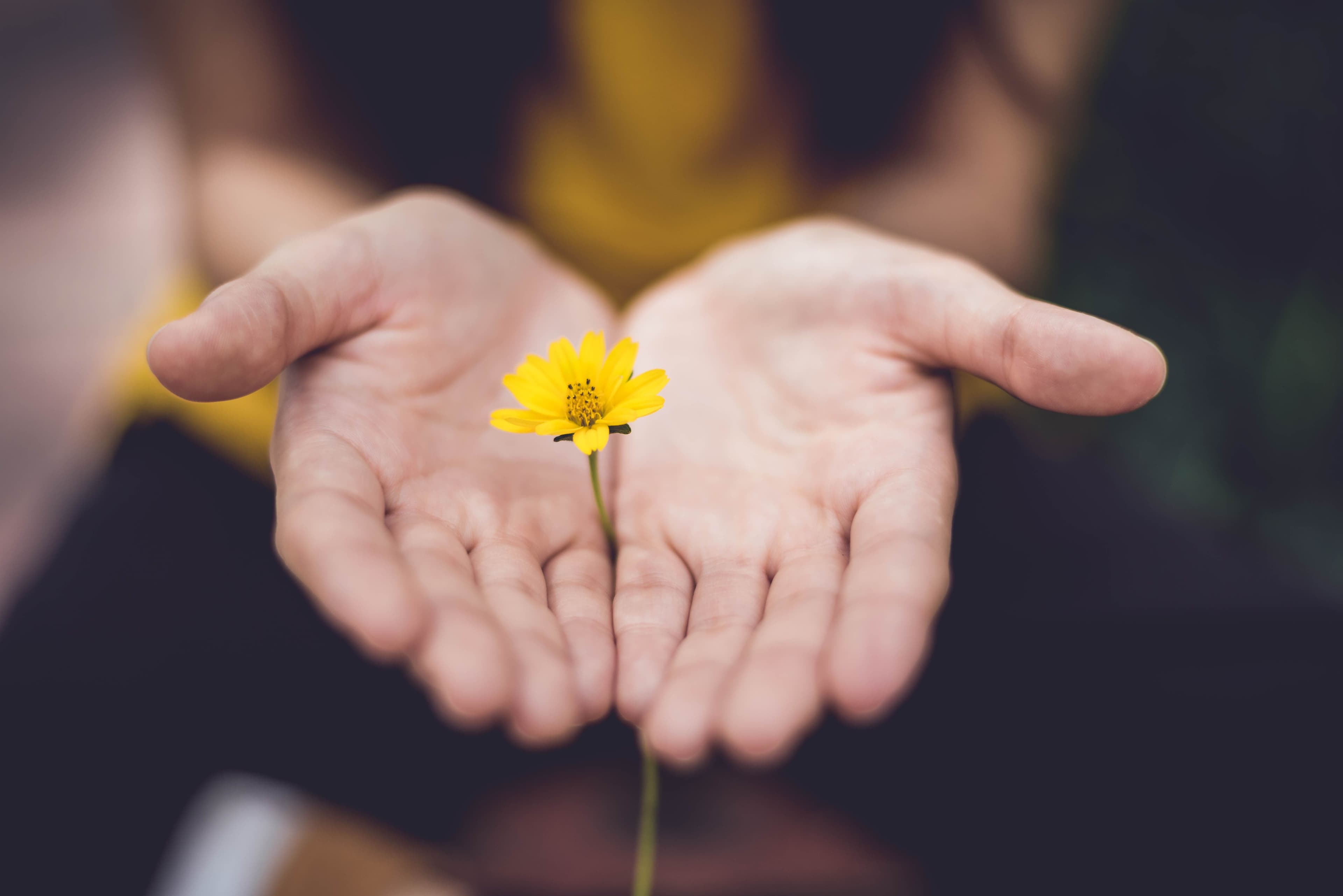 mindfulness meditacion budsimo