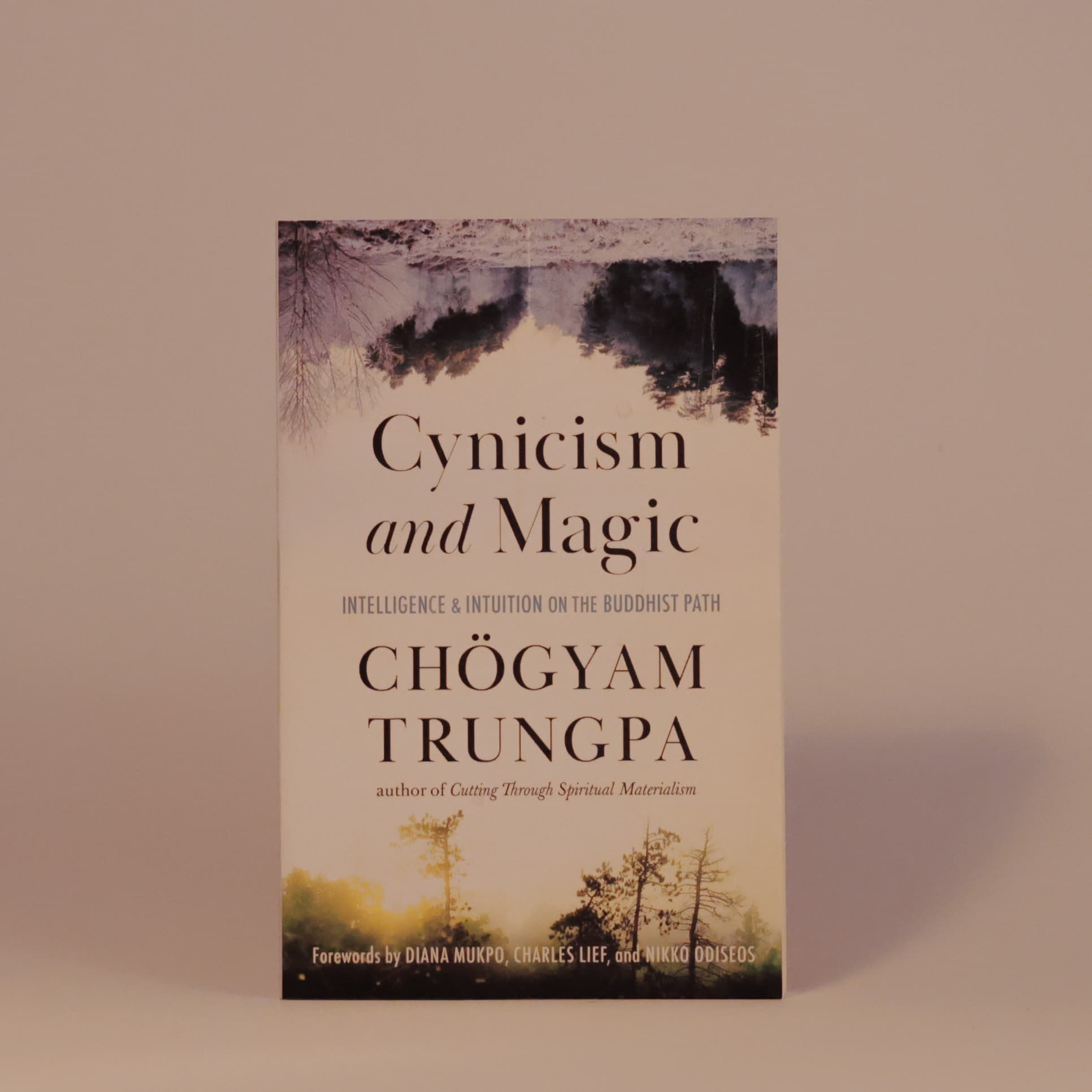 Cynicism and magic, Chögyam Trungpa